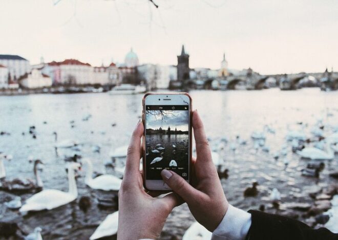 Beginner Tips for Taking Better Phone Photos